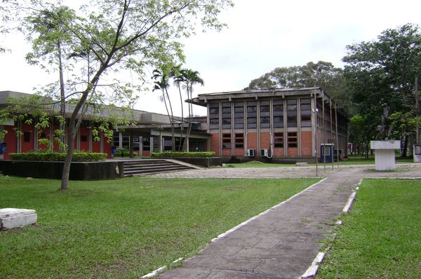 Gramado com caminho em cimento e prédios de dois andares adiante