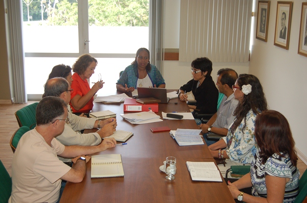 Reunião do Comitê de Formação