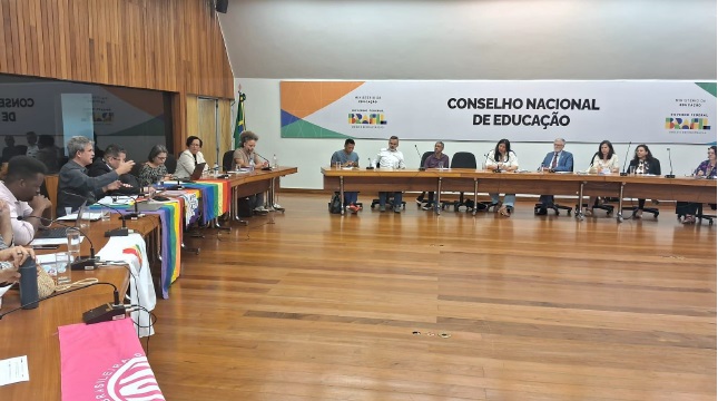 Foto da reunião com a presença dos membros do grupo de trabalho em uma grande sala. Ao fundo, uma faixa onde está escrito Conselho Nacional de Educação.