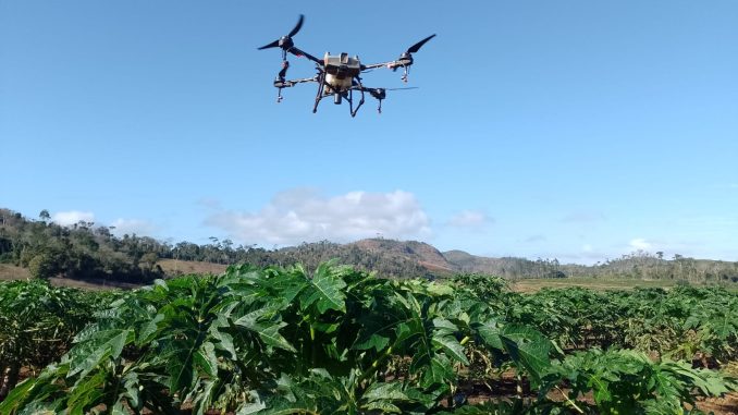 Imagem de um drone sobrevoando uma plantação de café