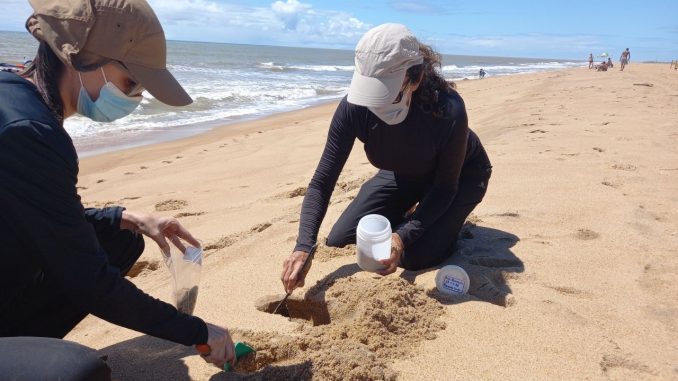 Estudos de campo realizado pelo Projeto Monitoramento da Biodiversidade Aquática (PMBA) Foto de duas pesquisadoras coletando areia da praia