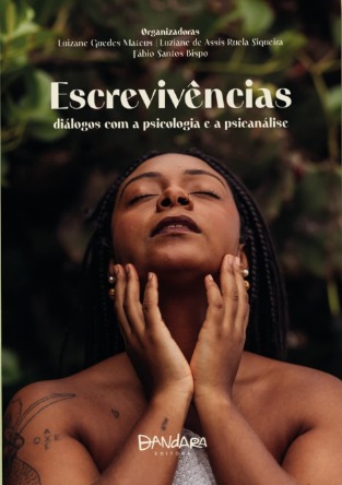 Imagem da capa do livro