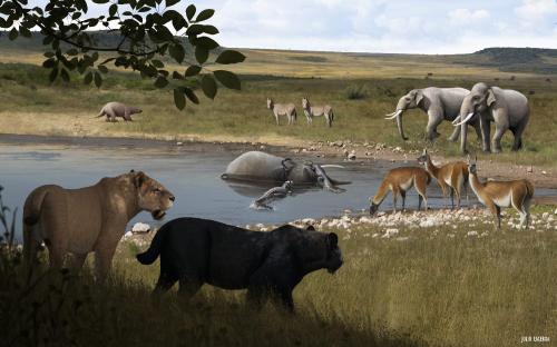 Imagem do paleoambiente com alguns bichos que foram encontrados na Gruta do Limoeiro. O tigre dente de sabre está em primeiro plano e uma preguiça gigante encontra ao fundo, à esquerda. Autoria: Júlio Lacerda