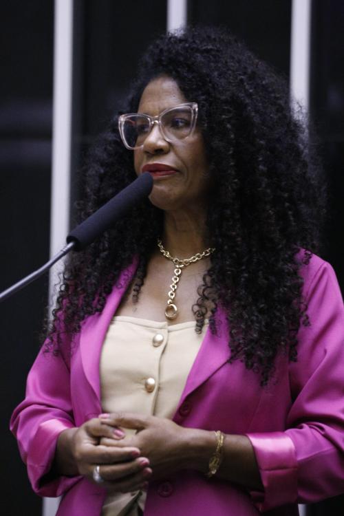 Foto da professora Rosely Pires no plenário da Câmara dos Deputados