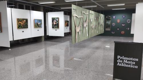 Vista geral da exposição
