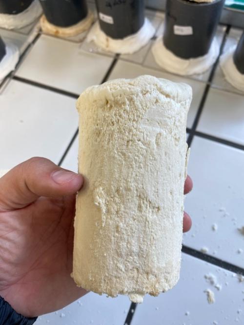 Espuma expansiva produzida em pesquisa da Ufes