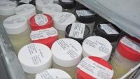 Foto de frascos de leite materno congelados e armazenados em freezer no banco de leite do Hucam
