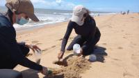 Foto de duas pesquisadoras coletando areia da praia