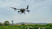 Foto de um drone sobrevoando uma plantação de café