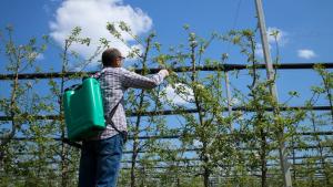 Agricultor usa pesticida em plantação